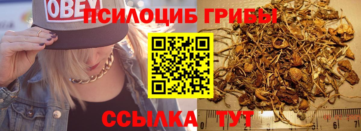 Псилоцибиновые грибы Magic Shrooms Сергиев Посад